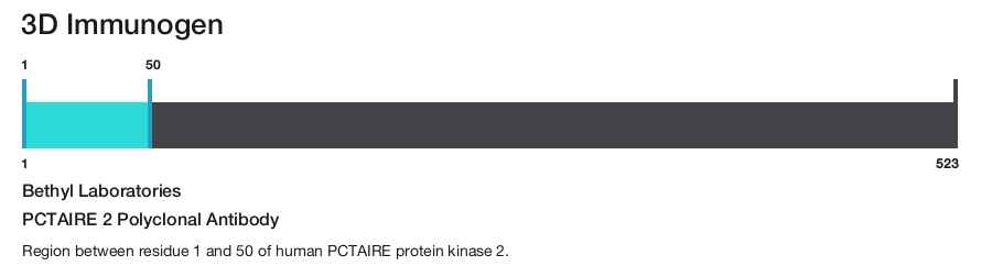 PCTAIRE 2 Polyclonal Antibody