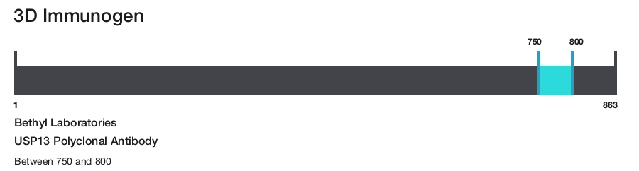 USP13 Polyclonal Antibody