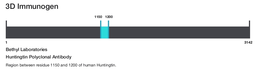 Huntingtin Polyclonal Antibody