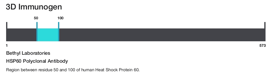 HSP60 Polyclonal Antibody