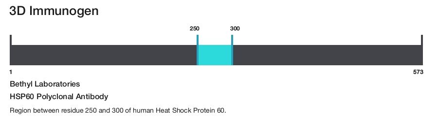 HSP60 Polyclonal Antibody