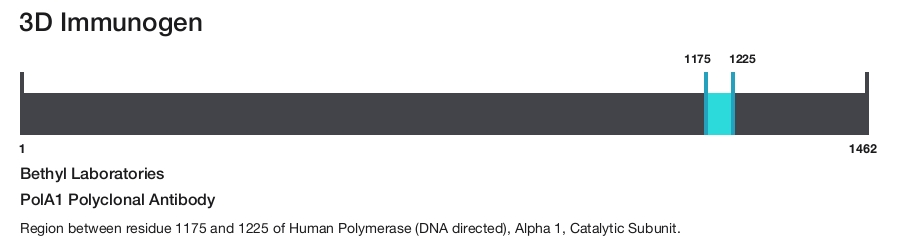 PolA1 Polyclonal Antibody