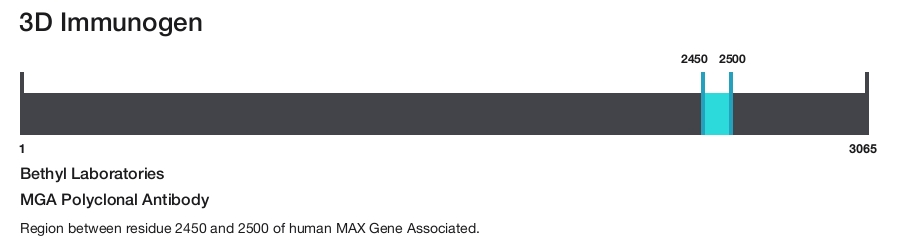 MGA Polyclonal Antibody