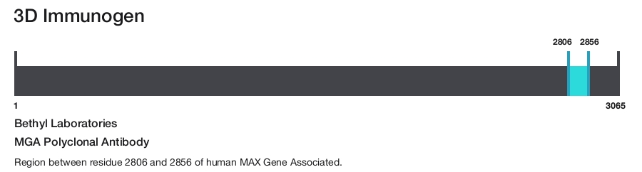 MGA Polyclonal Antibody