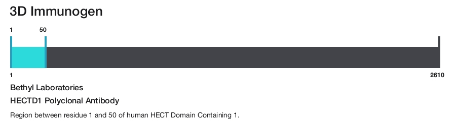 HECTD1 Polyclonal Antibody
