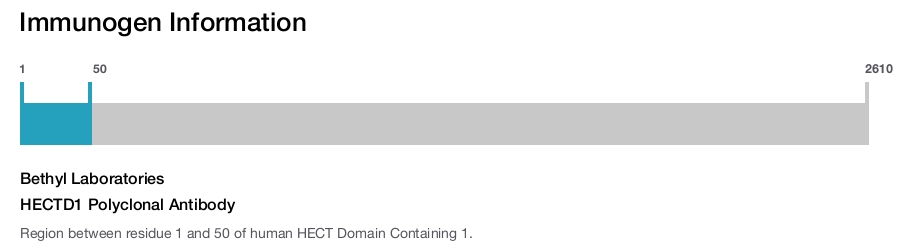 HECTD1 Polyclonal Antibody