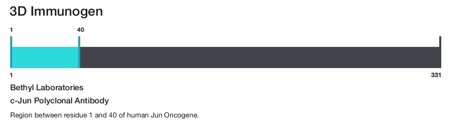 c-Jun Polyclonal Antibody