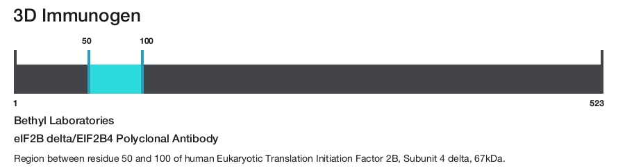 eIF2B delta/EIF2B4 Polyclonal Antibody