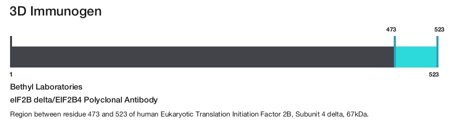 eIF2B delta/EIF2B4 Polyclonal Antibody