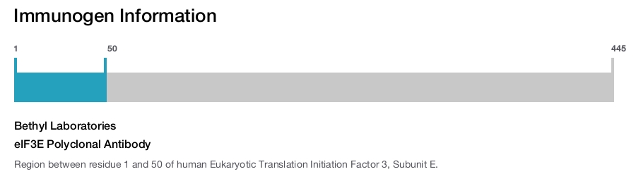 eIF3E Polyclonal Antibody