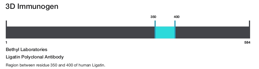 Ligatin Polyclonal Antibody