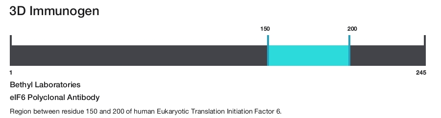 eIF6 Polyclonal Antibody