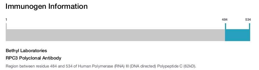 RPC3 Polyclonal Antibody