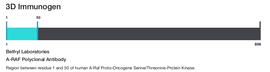 A-RAF Polyclonal Antibody