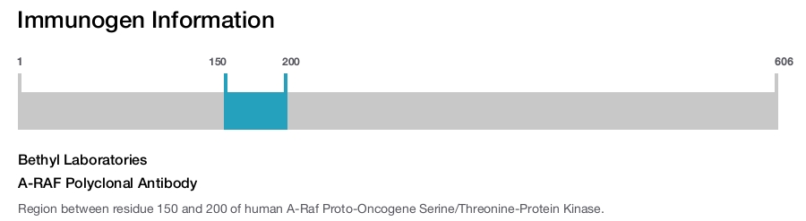 A-RAF Polyclonal Antibody