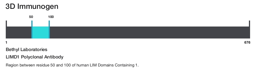 LIMD1 Polyclonal Antibody