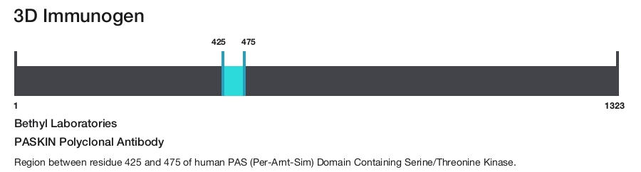 PASKIN Polyclonal Antibody