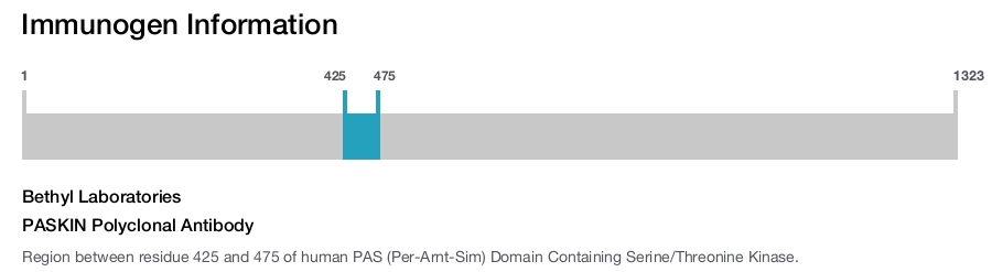 PASKIN Polyclonal Antibody