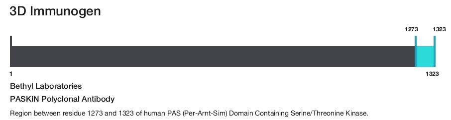 PASKIN Polyclonal Antibody