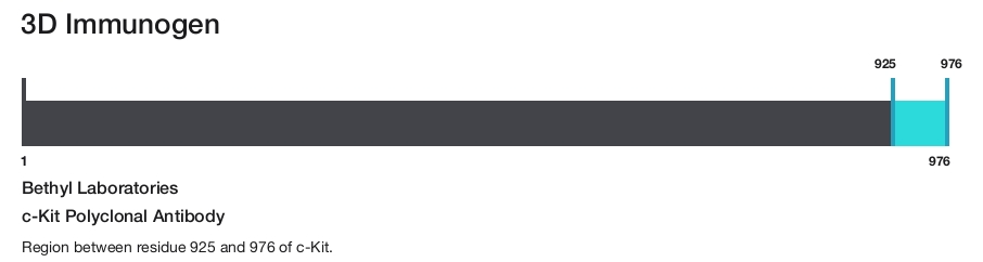 c-Kit Polyclonal Antibody