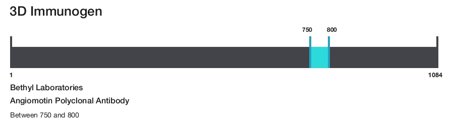 Angiomotin Polyclonal Antibody