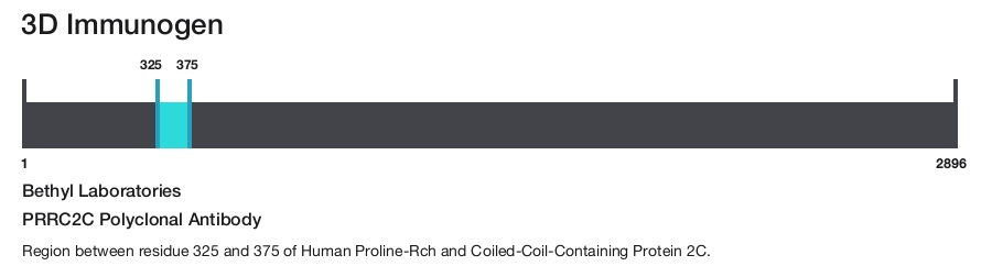 PRRC2C Polyclonal Antibody
