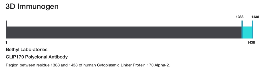 CLIP170 Polyclonal Antibody
