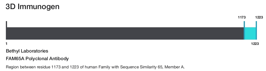FAM65A Polyclonal Antibody
