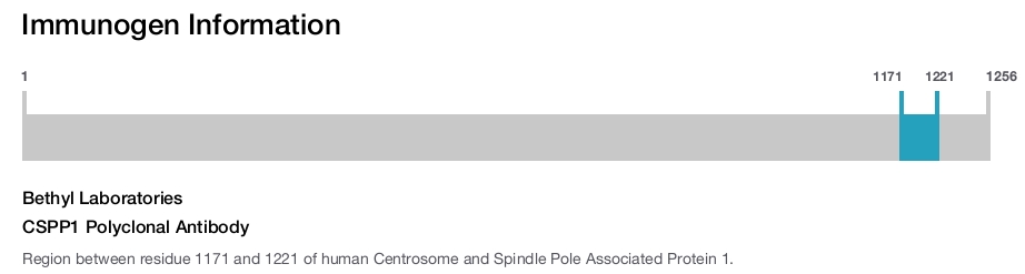 CSPP1 Polyclonal Antibody