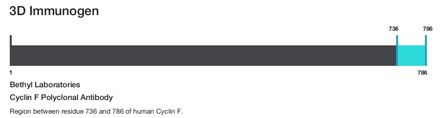 Cyclin F Polyclonal Antibody