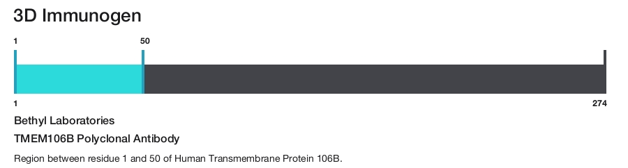 TMEM106B Polyclonal Antibody