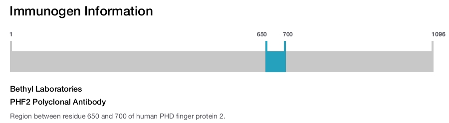 PHF2 Polyclonal Antibody