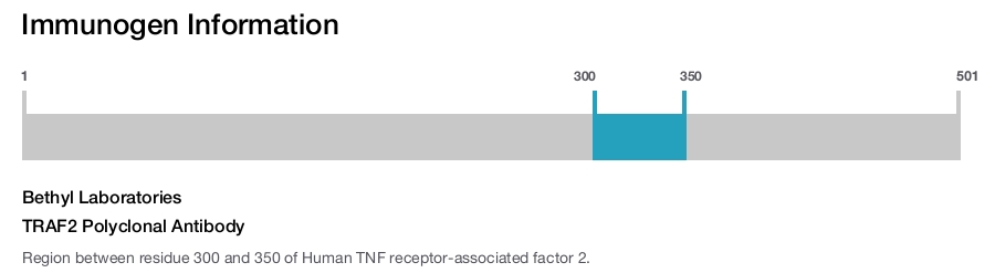 Immunogen Image TRAF2 Polyclonal Antibody