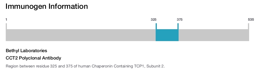 CCT2 Polyclonal Antibody