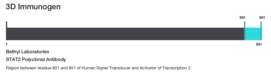 STAT2 Polyclonal Antibody