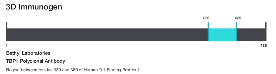 TBP1 Polyclonal Antibody