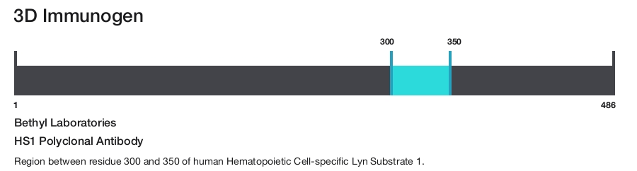 HS1 Polyclonal Antibody