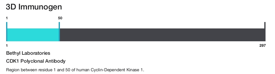 CDK1 Polyclonal Antibody