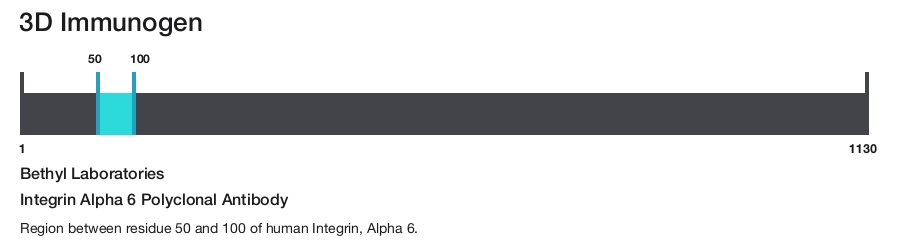 Integrin Alpha 6 Polyclonal Antibody