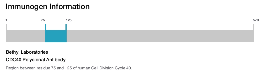 CDC40 Polyclonal Antibody