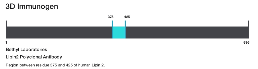 Lipin2 Polyclonal Antibody