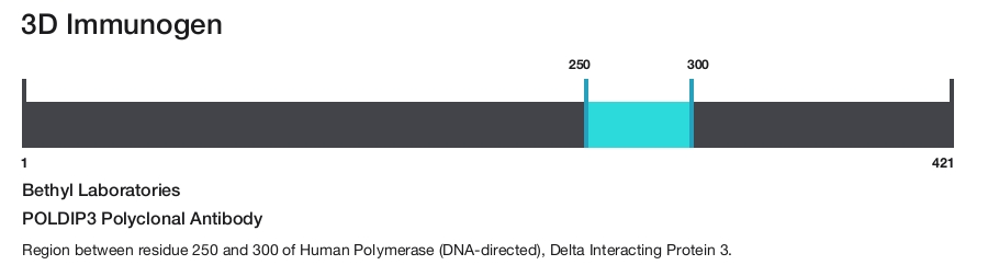 POLDIP3 Polyclonal Antibody