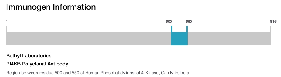 PI4KB Polyclonal Antibody