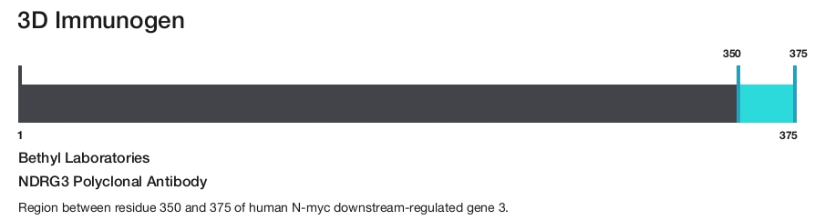NDRG3 Polyclonal Antibody