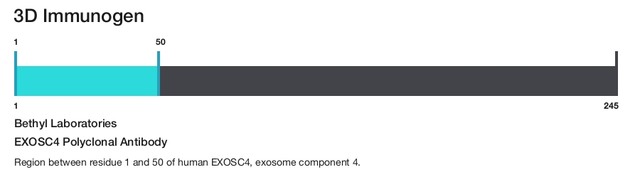 EXOSC4 Polyclonal Antibody