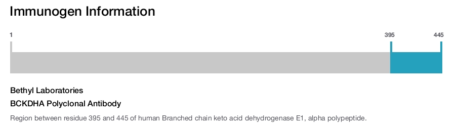 BCKDHA Polyclonal Antibody