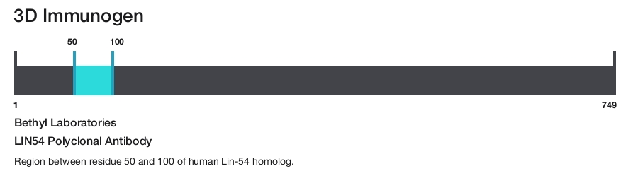 LIN54 Polyclonal Antibody