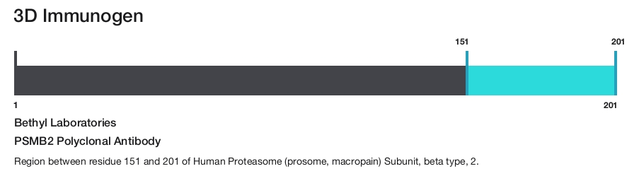PSMB2 Polyclonal Antibody