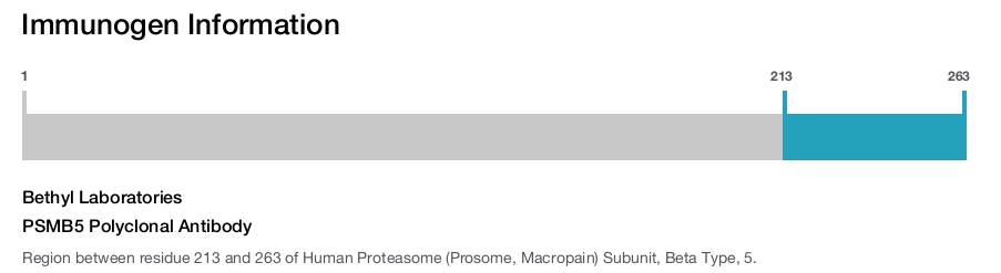 PSMB5 Polyclonal Antibody