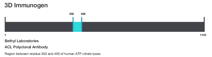 ACL Polyclonal Antibody